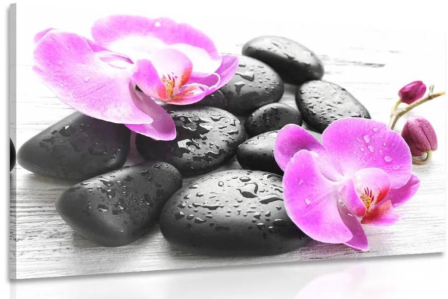 Obraz krásna súhra kameňov a orchidey Varianta: 60x40