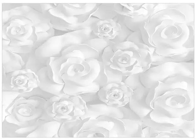 Samolepiaca fototapeta - Plaster Flowers Veľkosť: 147x105, Verzia: Samolepiaca
