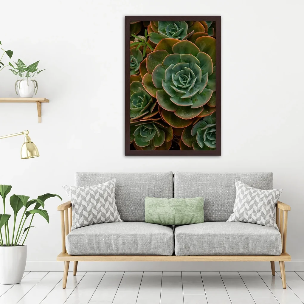 Gario Plagát Dekoratívne sukulenty Farba rámu: Bez rámu, Rozmery: 30 x 45 cm