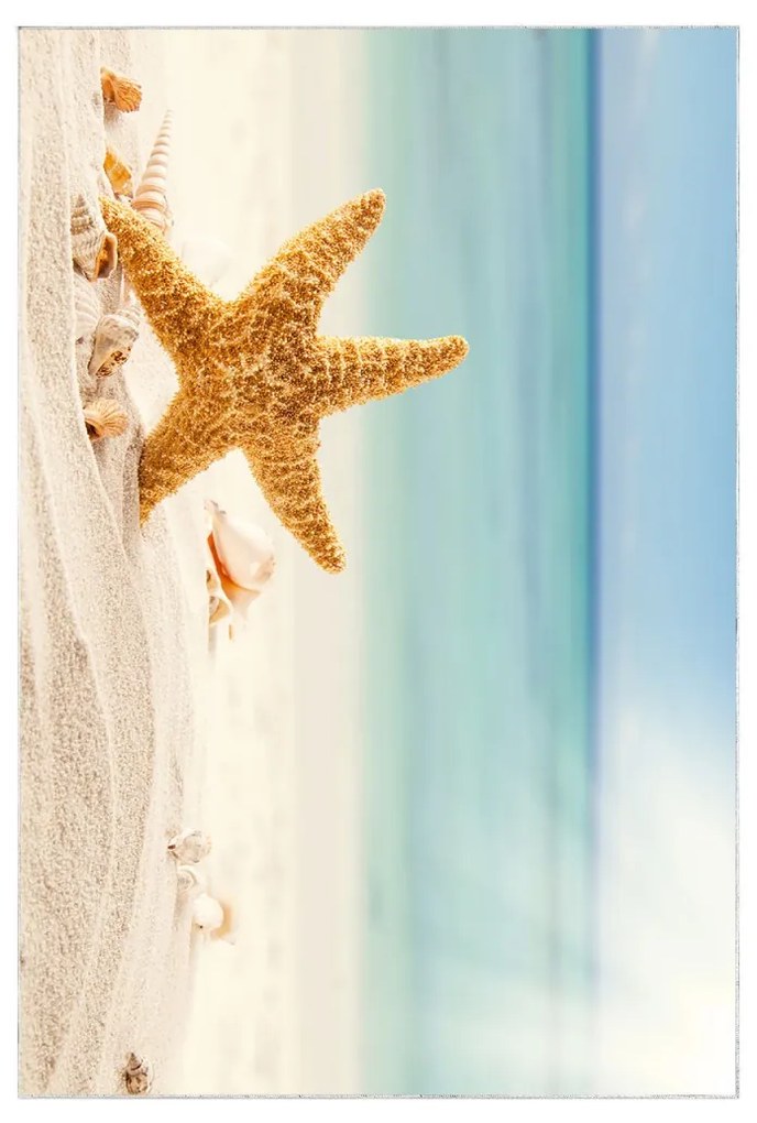 Sada 2 kusů koupelnových předložek Starfish modrá/béžová