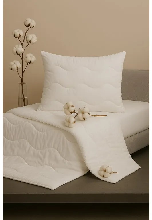 Letný set vankúša a paplóna Medic – 100% bavlna, antialergický Veľkosť: 100x135/40x60 cm