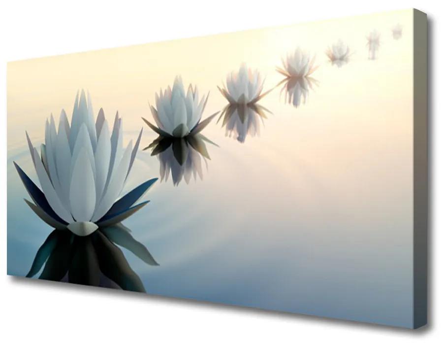 Obraz Canvas Vodné lilie biely lekno 120x60 cm