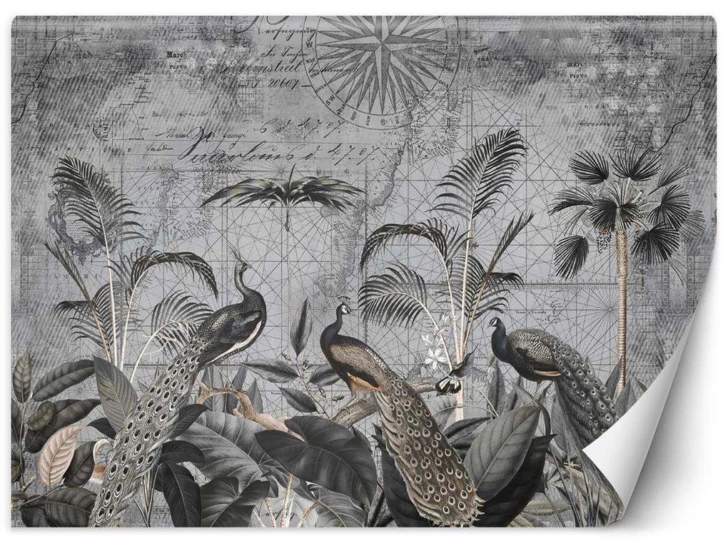 Gario Fototapeta Pávy v tmavosivých trópoch - Andrea Haase Materiál: Vliesová, Rozmery: 200 x 140 cm