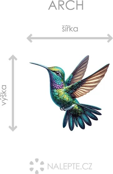 Farebný kolibrík textilní prelepiteľná nálepka na stenu hárok 45 x 42 cm