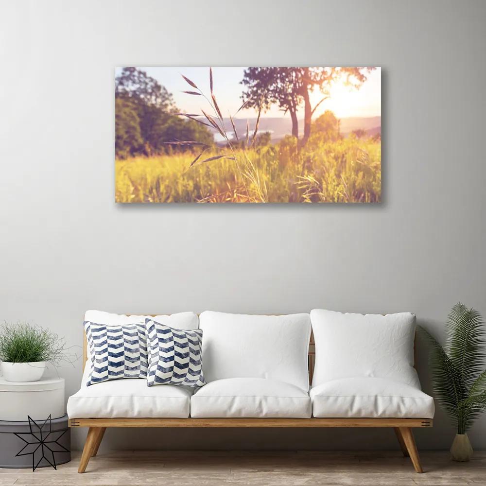Obraz Canvas Lúka tráva strom príroda 125x50 cm