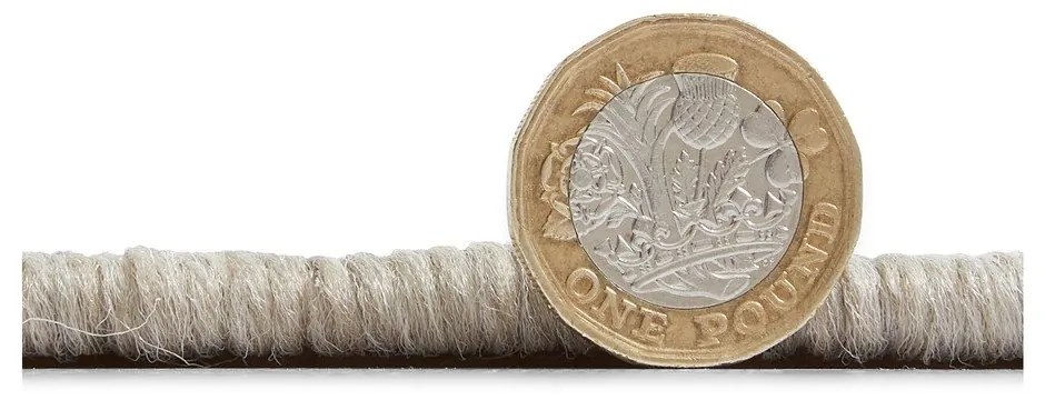 Béžový vonkajší koberec 220x160 cm Coast - Think Rugs