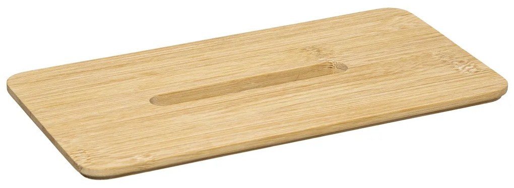 Box na vreckovky Selena, 25,3x9,3x13,3 cm, číra/s drevenými prvkami