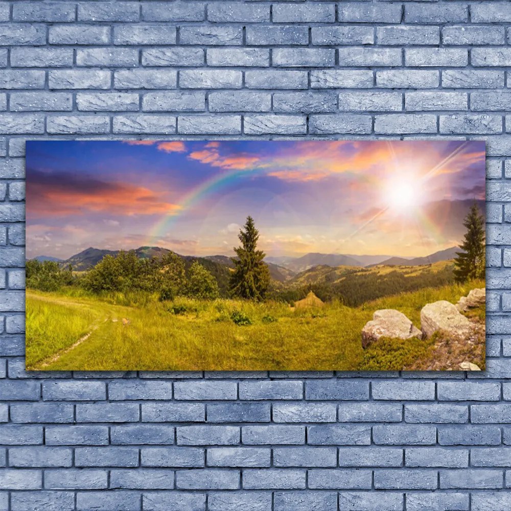 Obraz plexi Hory lúka kamene príroda 120x60 cm