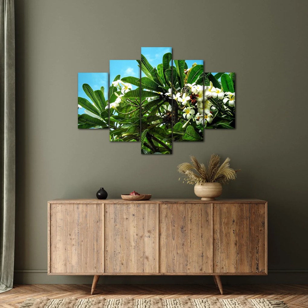 Obraz - Plumeria (150x105 cm)