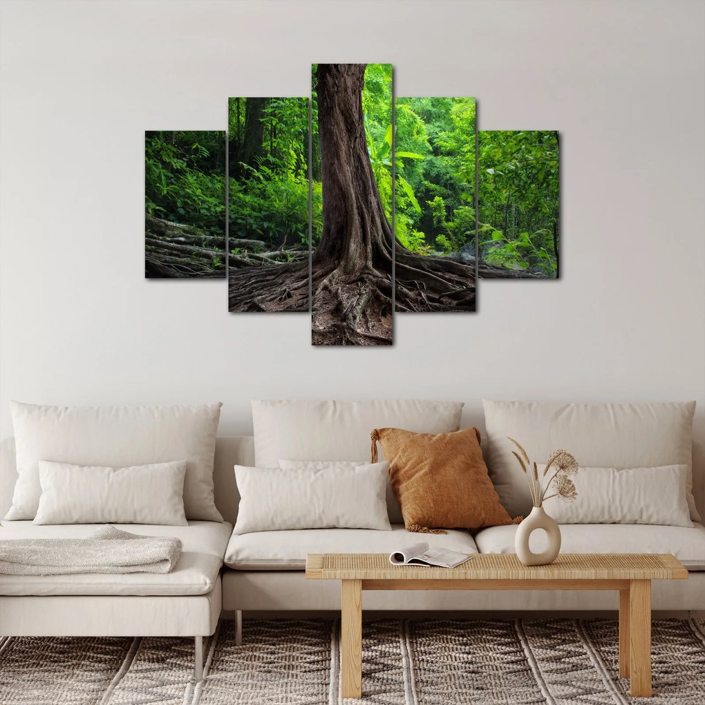 Obraz - Starý strom s koreňmi (150x105 cm)
