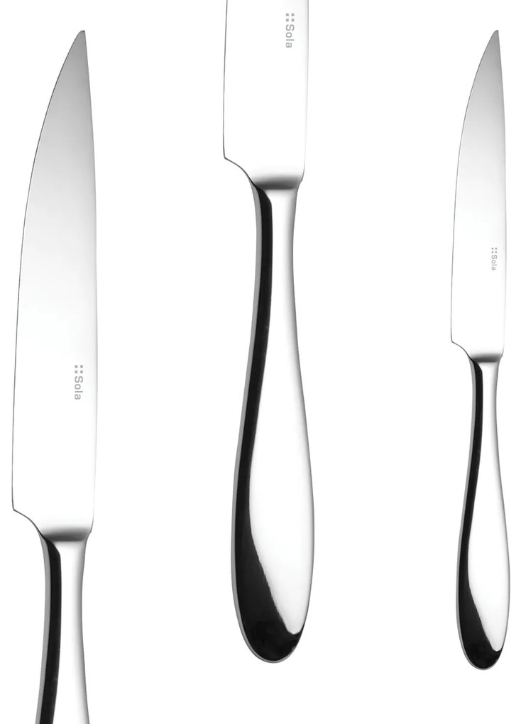 Steakový nôž s dutou rúčkou 24,5 cm - Turin - 103784