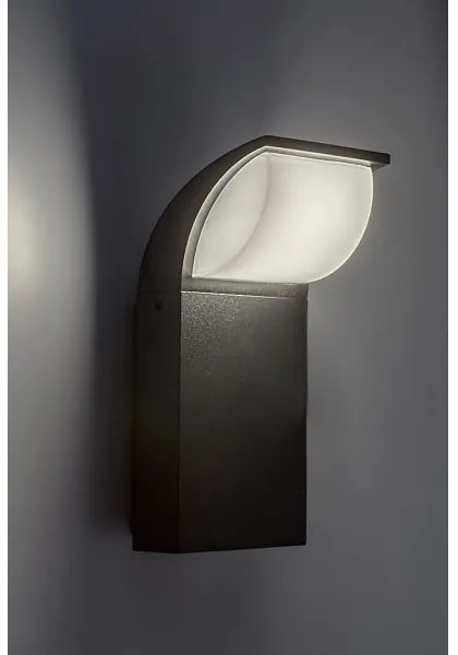 Rabalux 7166 - LED Vonkajšie nástenné svietidlo HONGKONG LED/9W/230V IP65