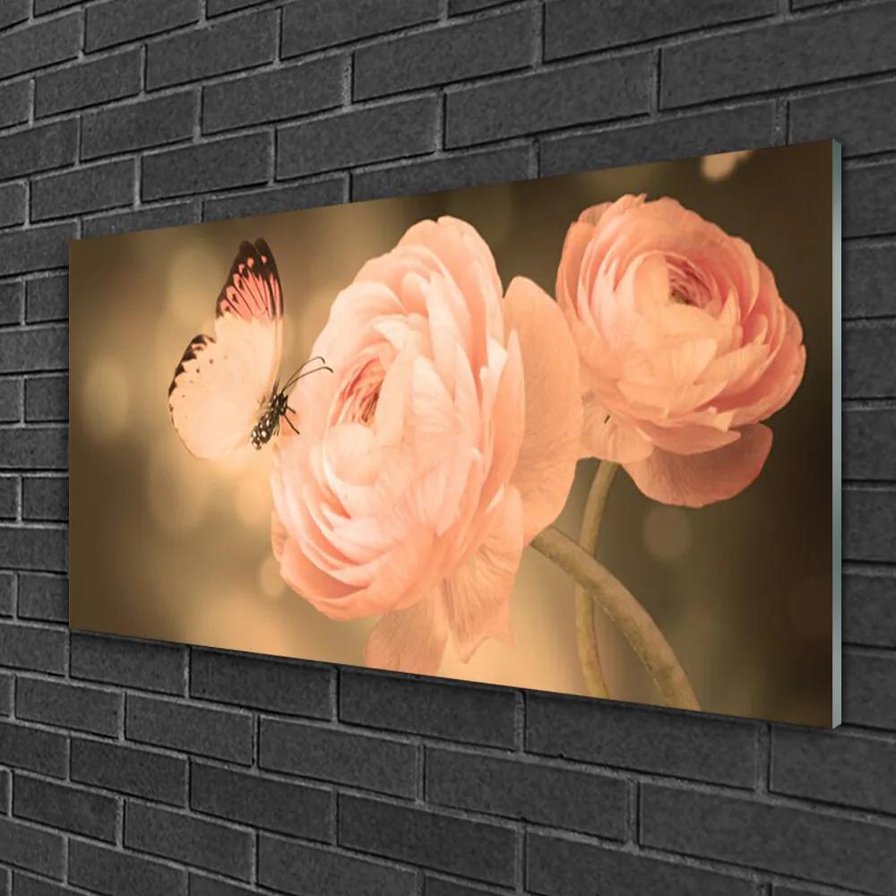 Skleneny obraz Motýľ ruže príroda 120x60 cm