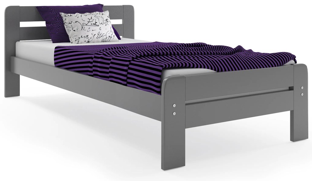 Interbeds Jednolôžková posteľ DALLAS1 grafit s matracom - 200x120