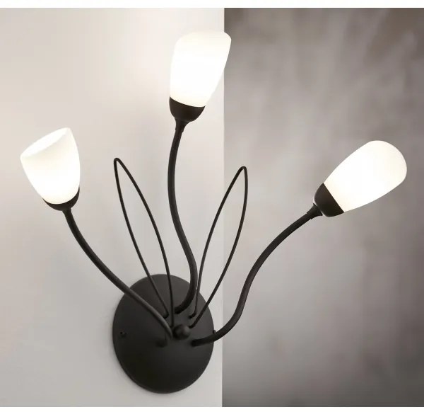 Jupiter 2059 - Nástenné svietidlo GLORIOSA 3xG9/14W/230V čierna