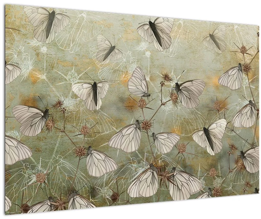 Obraz - Vintage motýle (90x60 cm)