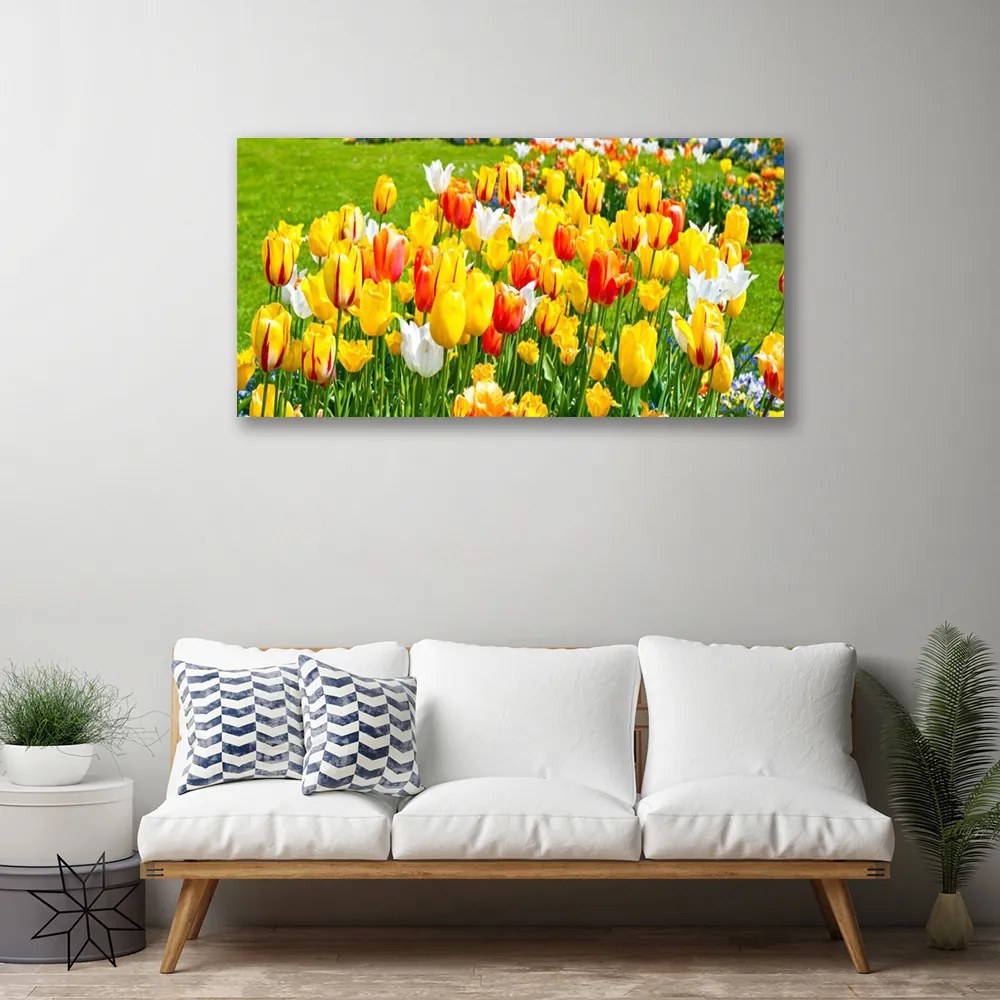 Obraz Canvas Tulipány kvety príroda 120x60 cm