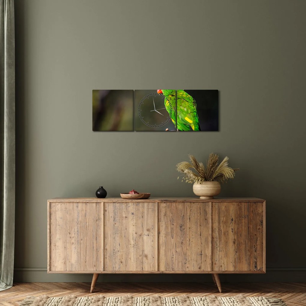 Obraz papagája na vetve (s hodinami) (90x30 cm)