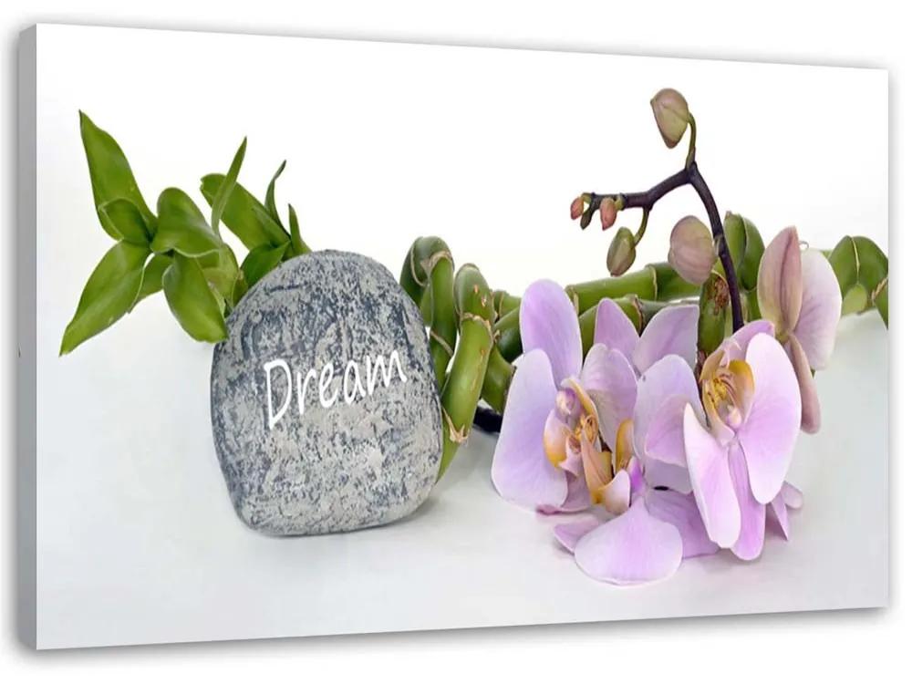 Gario Obraz na plátne Orchidey pri kameni s nápisom sen Rozmery: 60 x 40 cm