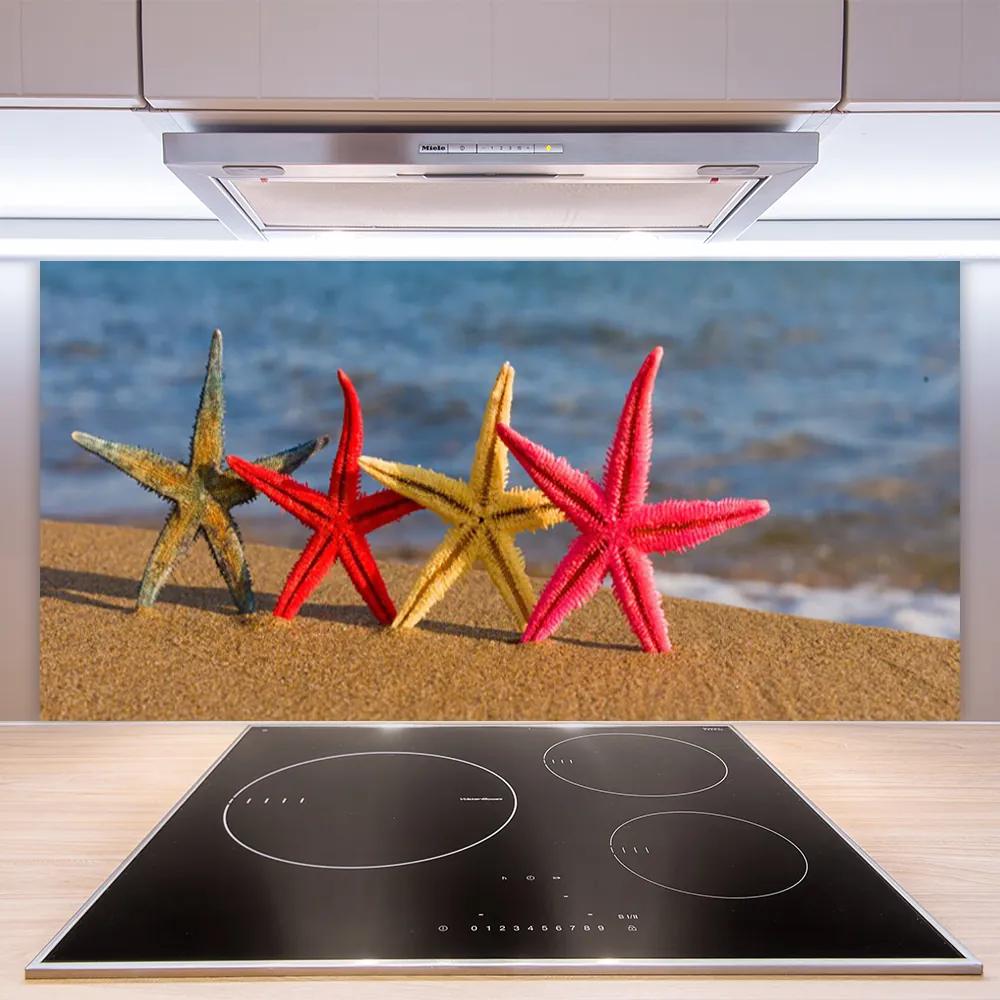 Nástenný panel  Pláž hviezdice umenie 100x50 cm