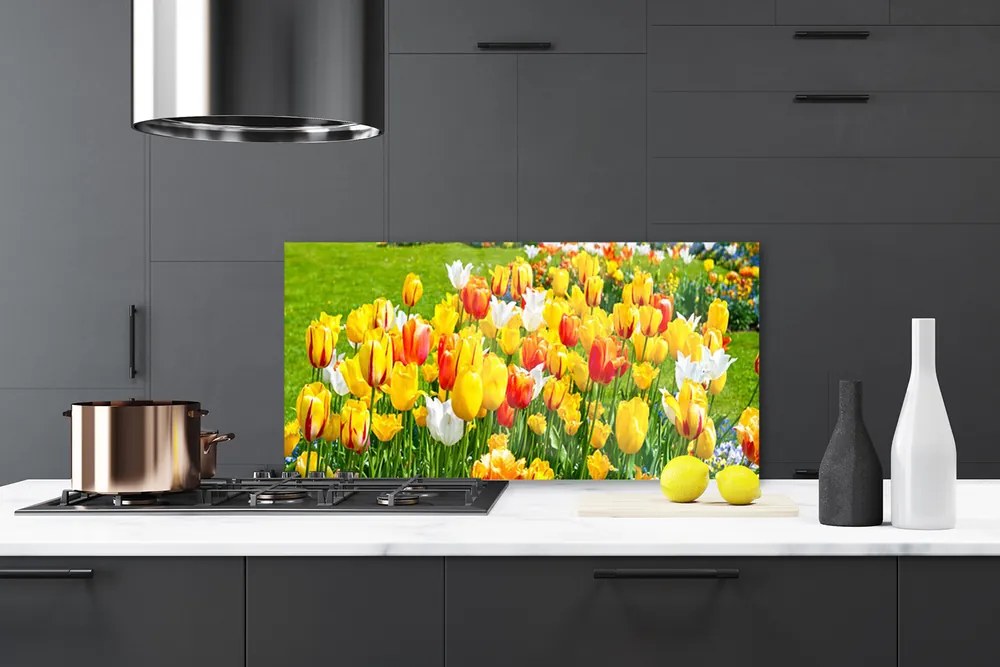 Sklenený obklad Do kuchyne Tulipány kvety príroda 100x50 cm