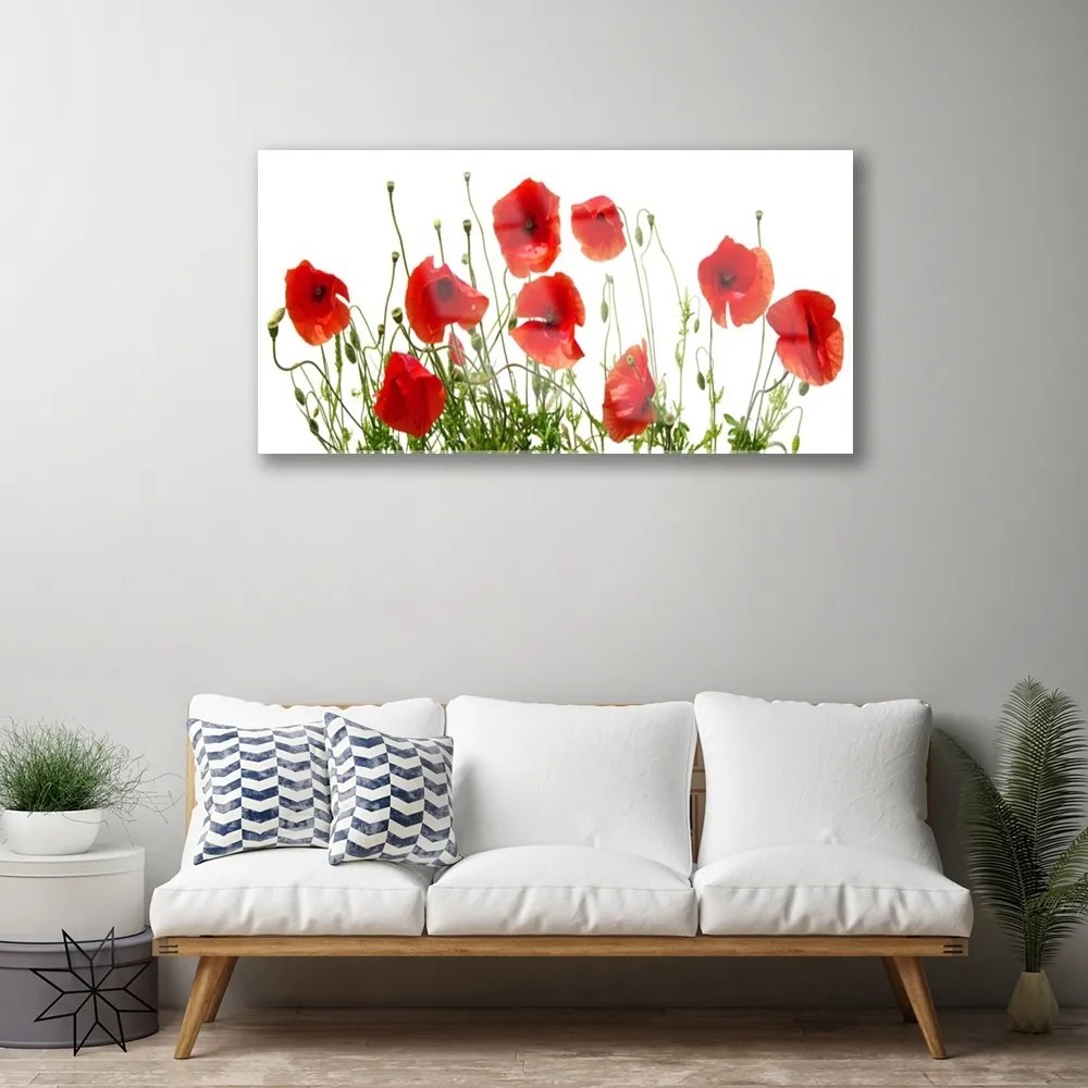 Skleneny obraz Maky kvety príroda 100x50 cm