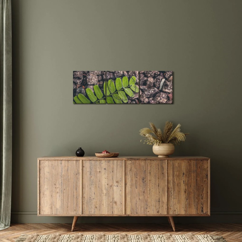 Obraz zelenej rastliny (s hodinami) (90x30 cm)