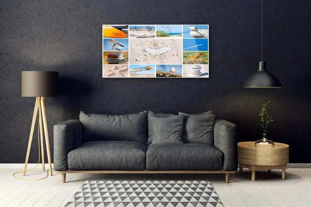 Skleneny obraz Oceán pláž čajky krajina 100x50 cm
