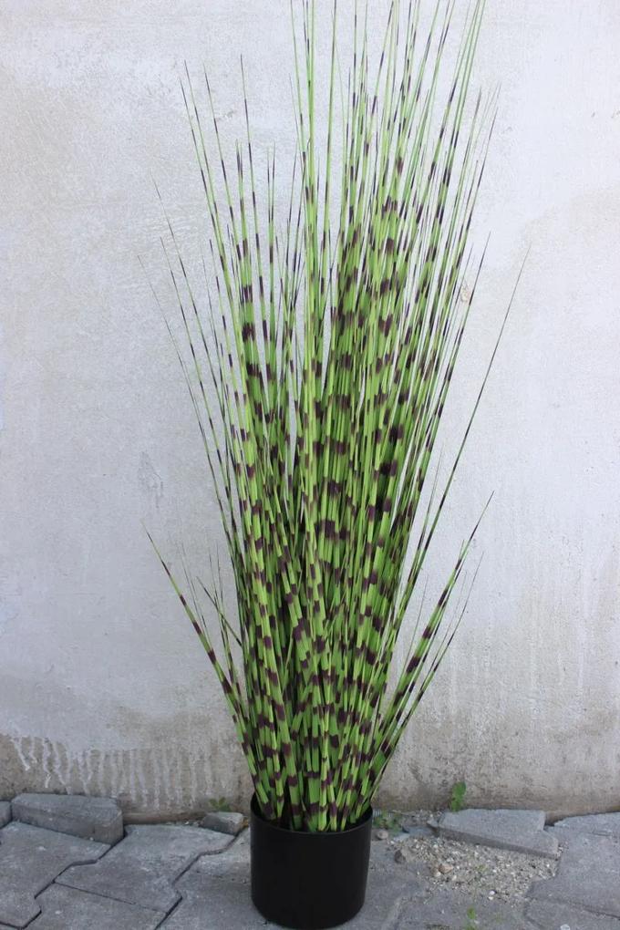 Zelená zebrovitá tráva v kvetináči 106cm | BIANO
