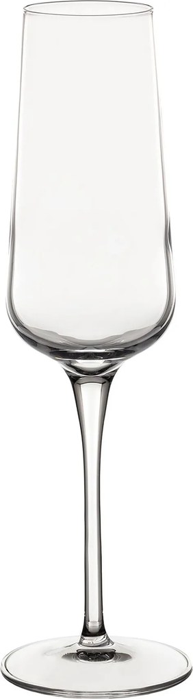 Poháre na šampanské Gusto 6ks 240ml