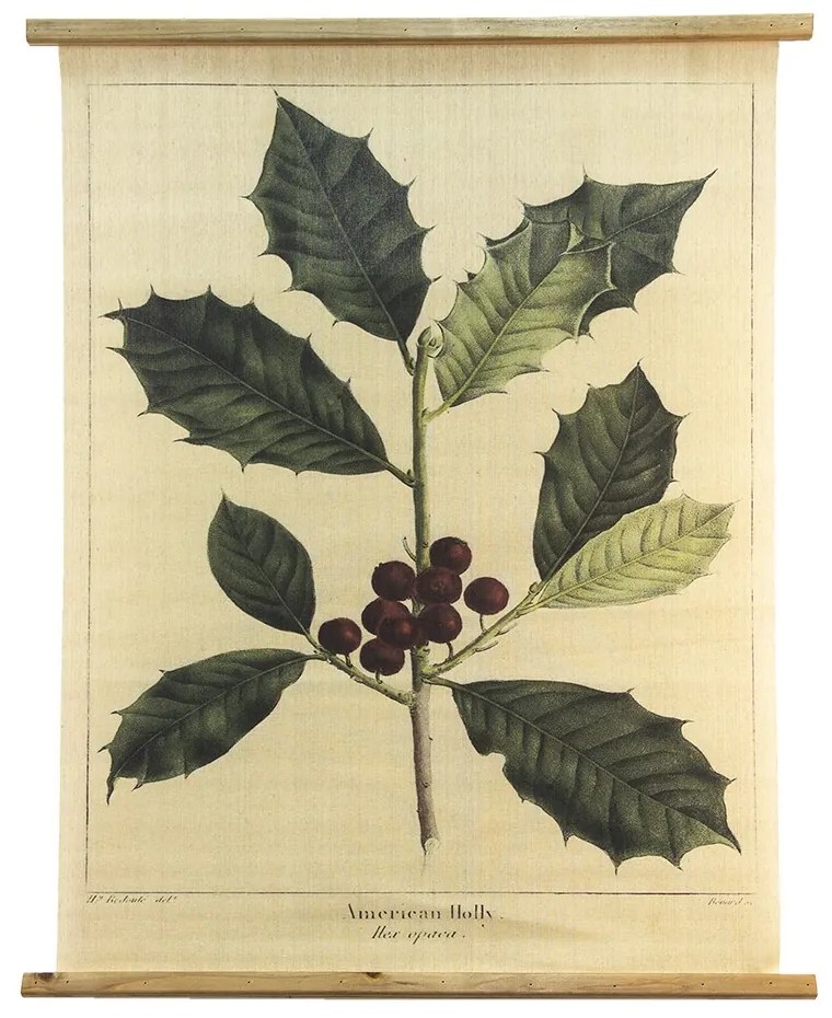 Béžová nástenná mapa American Holly - 80*2*100 cm