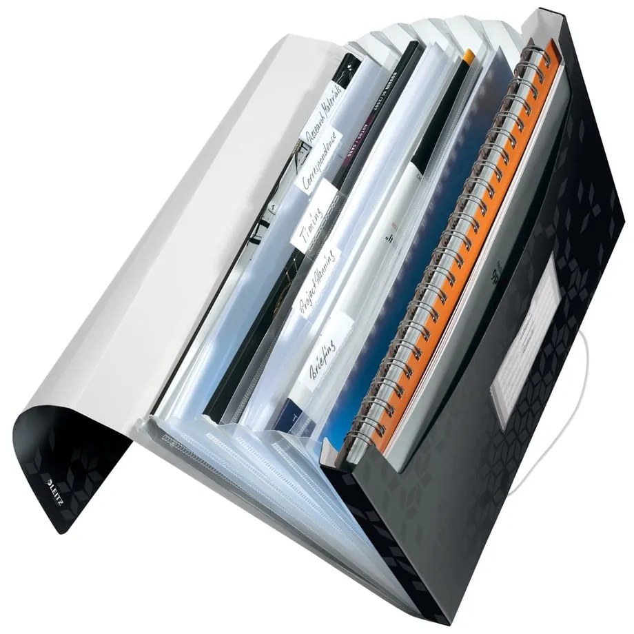 Plastový organizér na dokumenty WOW – Leitz