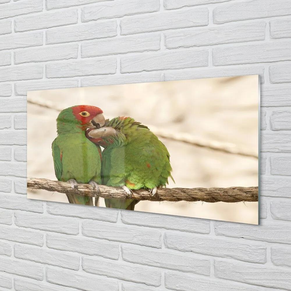 Sklenený obraz zelené papagáje 100x50 cm