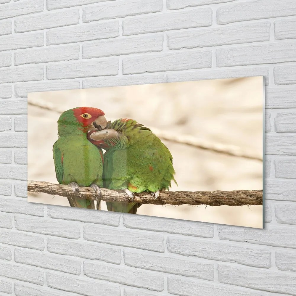 Sklenený obraz zelené papagáje 140x70 cm