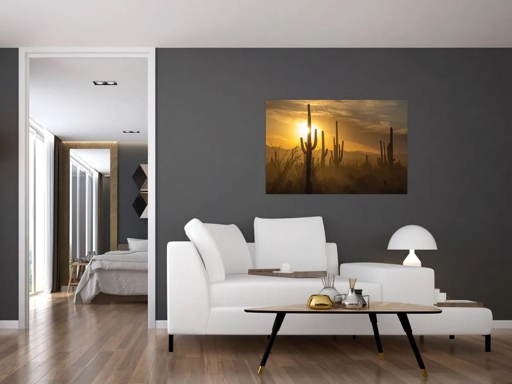 Obraz - Kaktusy Saguaro (90x60 cm)
