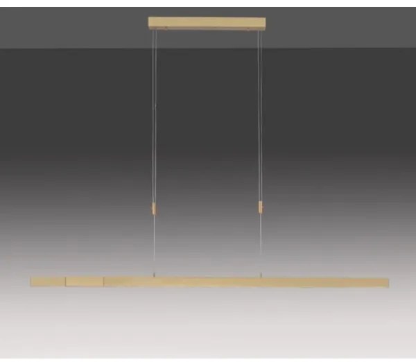 Paul Neuhaus 2568-60 - LED Stmievateľný luster na lanku ADRIANA LED/14W/230V mosadz