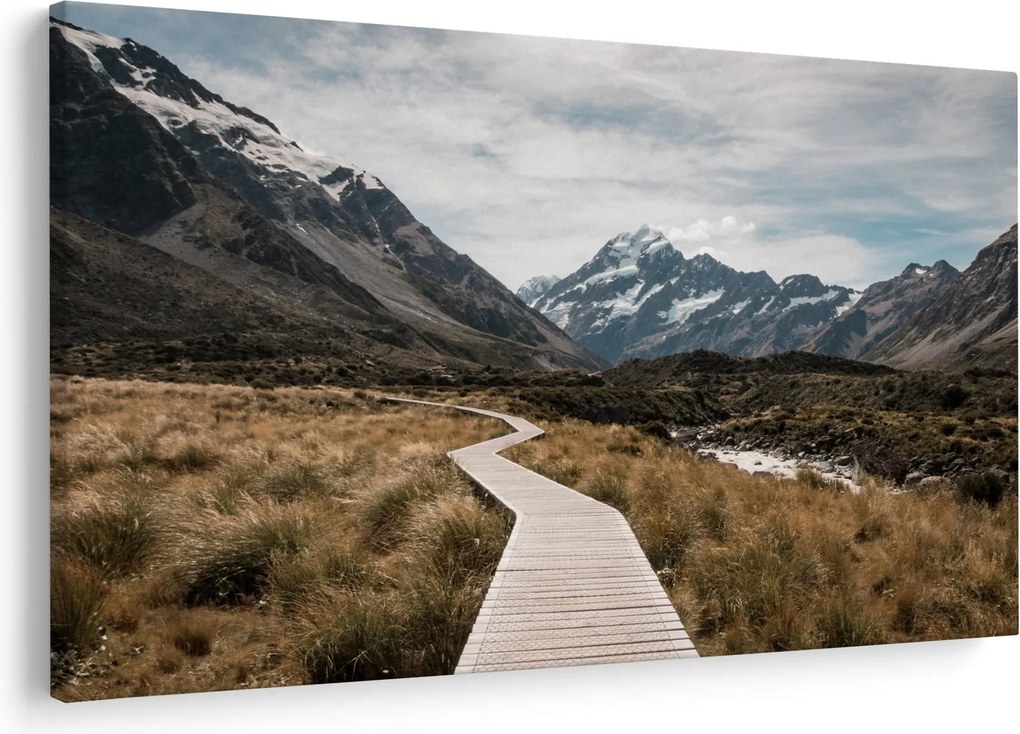 Obraz - Chodník v údolí hory Mt. Cook (90x60 cm)