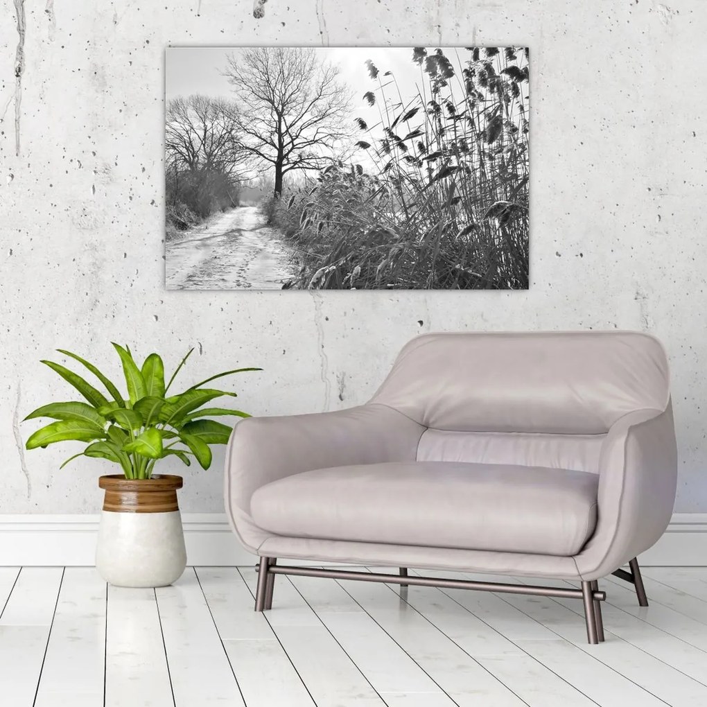 Obraz - Pole v zime (90x60 cm)