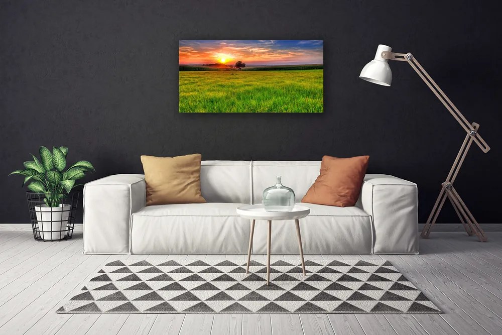 Obraz Canvas Lúka slnko príroda 140x70 cm