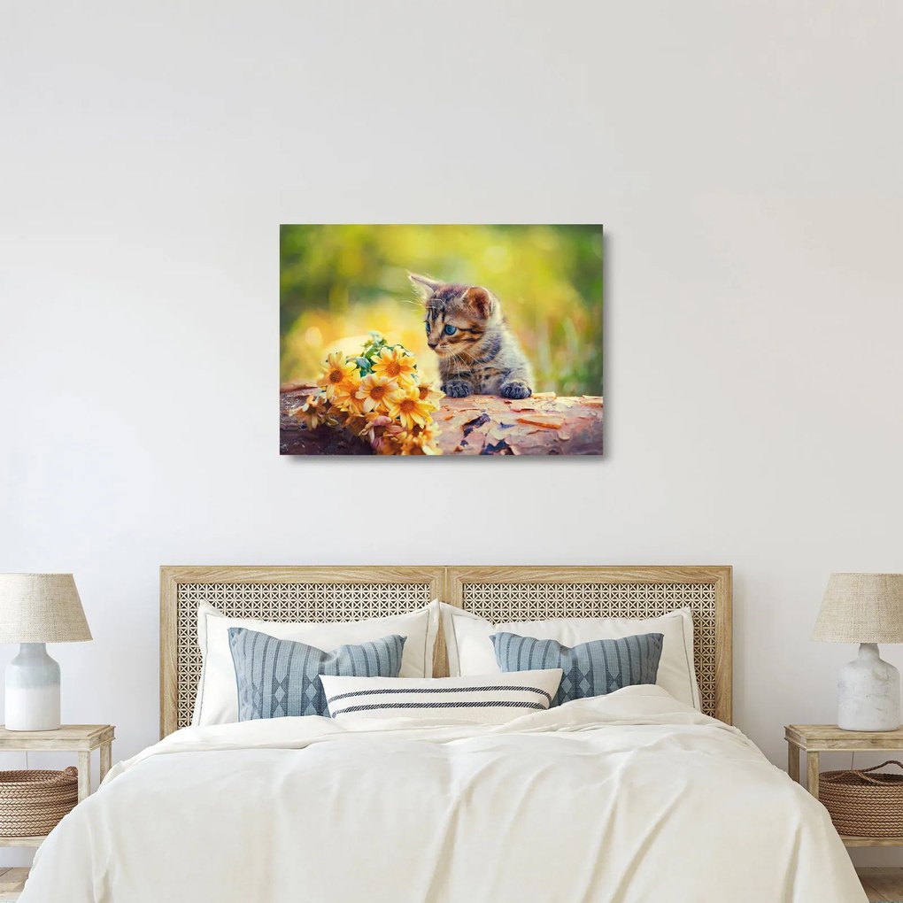 Sklenený obraz mačiatka pozerajúce sa na kvetinu (70x50 cm)