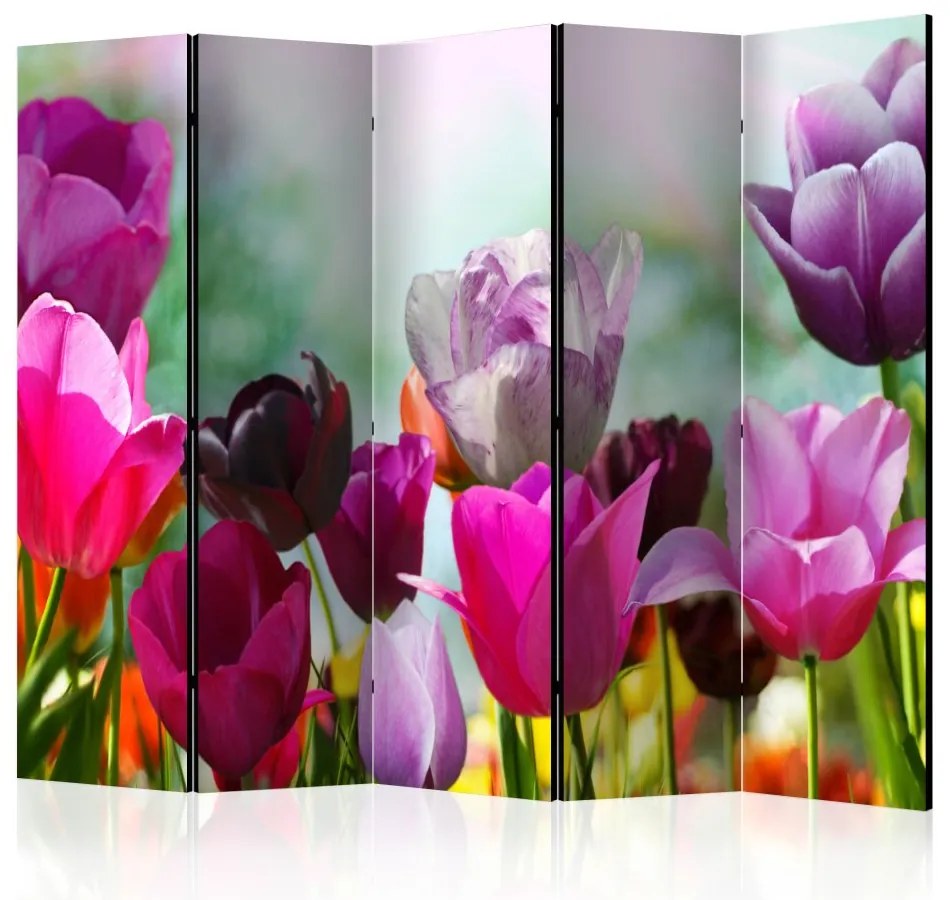 Artgeist Paraván - Beautiful Tulips II [Room Dividers]