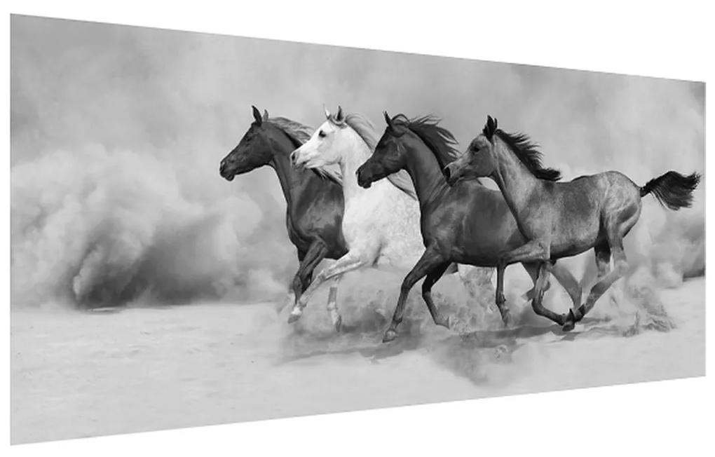 Čiernobiely obraz koní (120x50 cm)