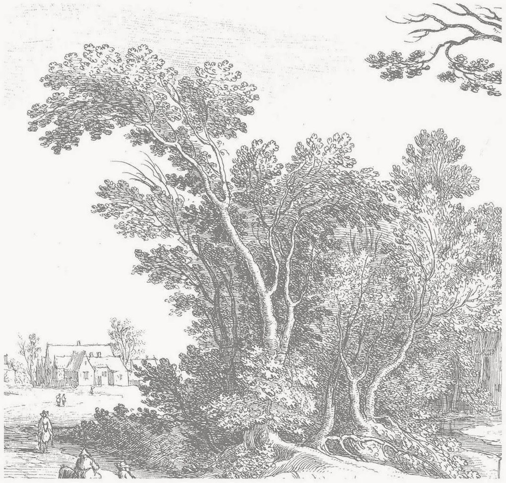 Vliesová tapeta Engraved Landscapes V