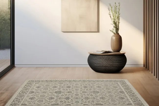 Koberec Allora Plus F346A ornament / rám, strieborný / sivý