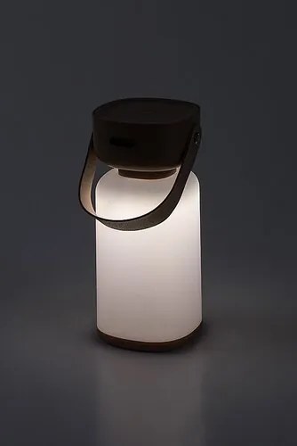 Rabalux FUNES LED vonkajšia dekoratívna lampa 77143