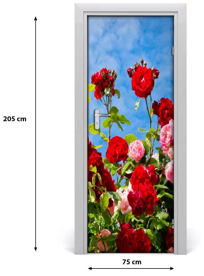 Samolepiace fototapety na dvere divoká ruža 75x205 cm