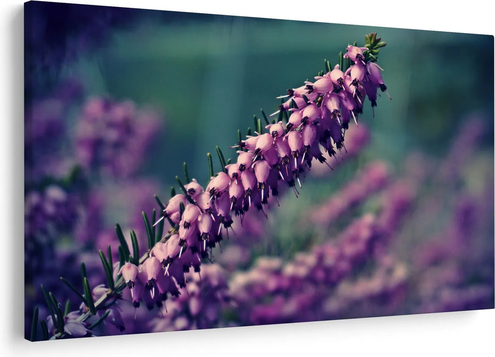 Obraz fialovej kvetiny (90x60 cm)
