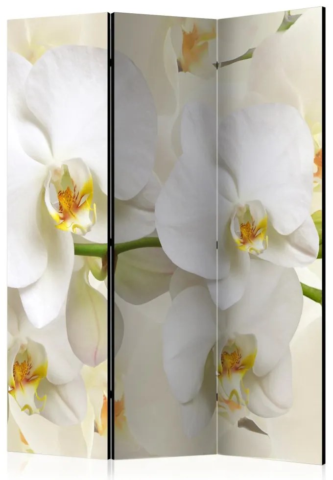 Artgeist Paraván - Orchid Branch [Room Dividers]