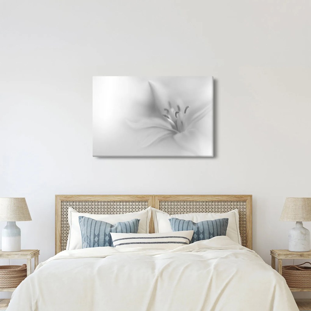 Obraz - Jemná ľalia (90x60 cm)