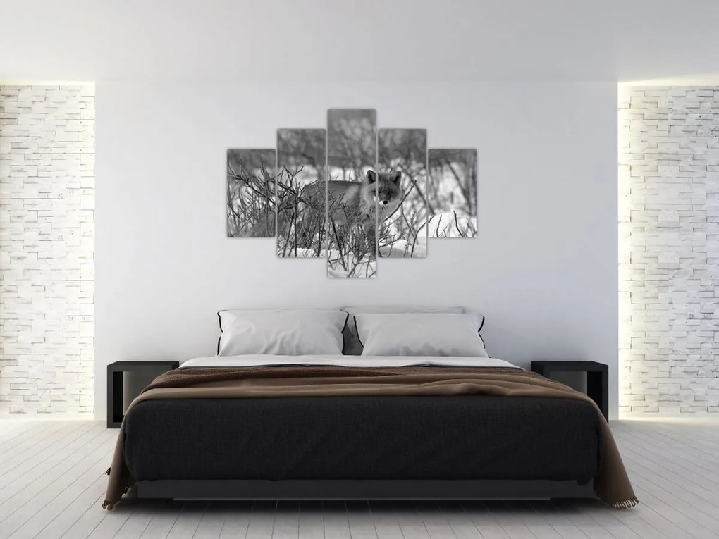 Obraz - Líška v zime (150x105 cm)